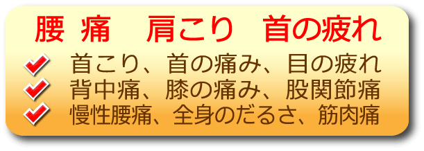 腰痛,肩こり,首の疲れ,首こり,首の痛み,目の疲れ,背中痛,膝の痛み,股関節痛,慢性腰痛,全身のだるさ,筋肉痛